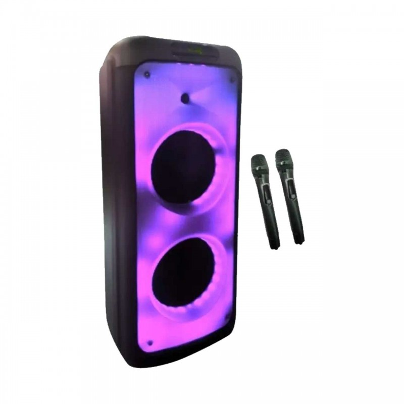 בידורית ענק עם מיקרופונים WEWE SUB 20 SPEAKER
